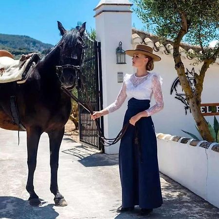 Pasa Fina, Luxury Holiday Retreat Villanueva del Trabuco Εξωτερικό φωτογραφία