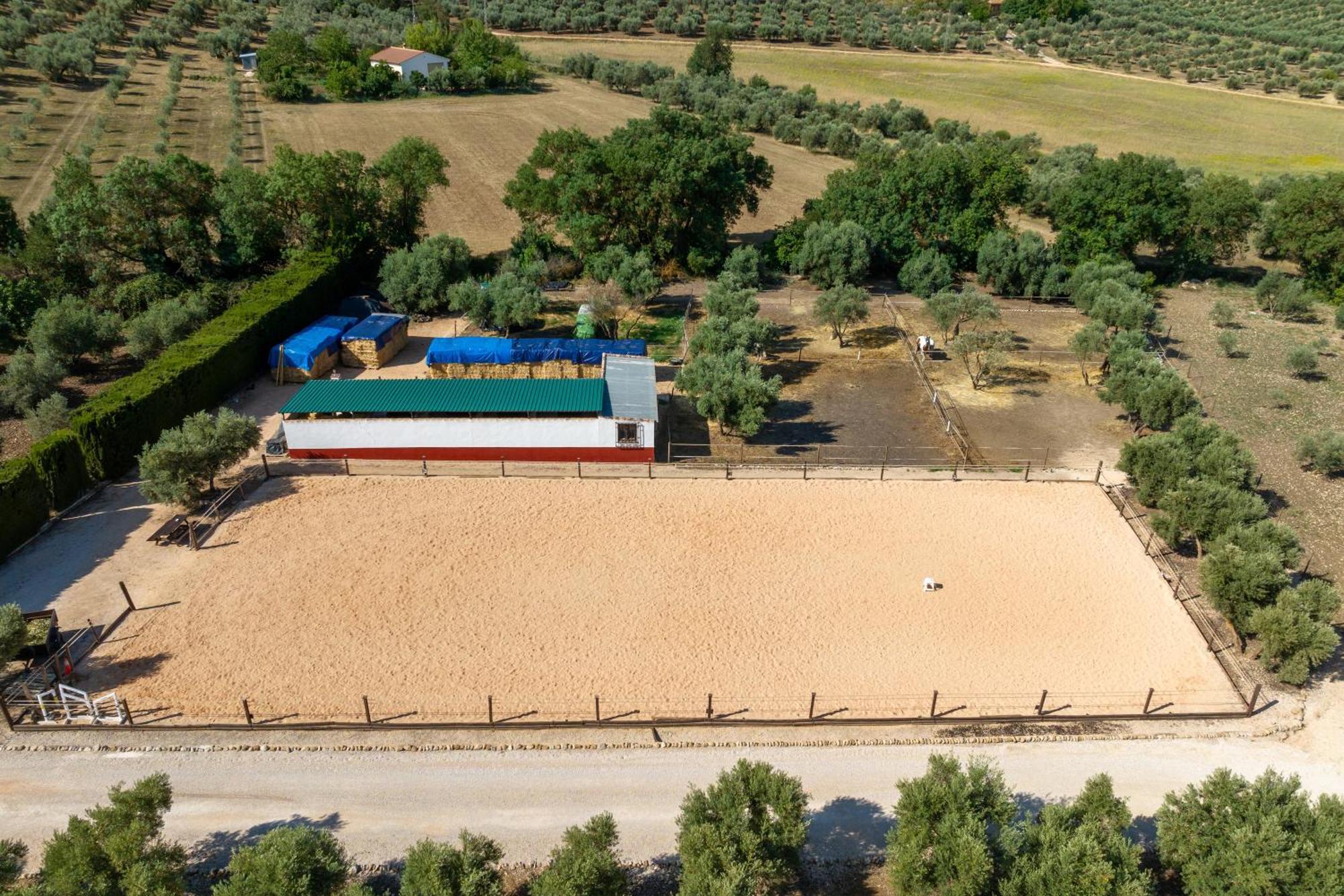 Pasa Fina, Luxury Holiday Retreat Villanueva del Trabuco Εξωτερικό φωτογραφία
