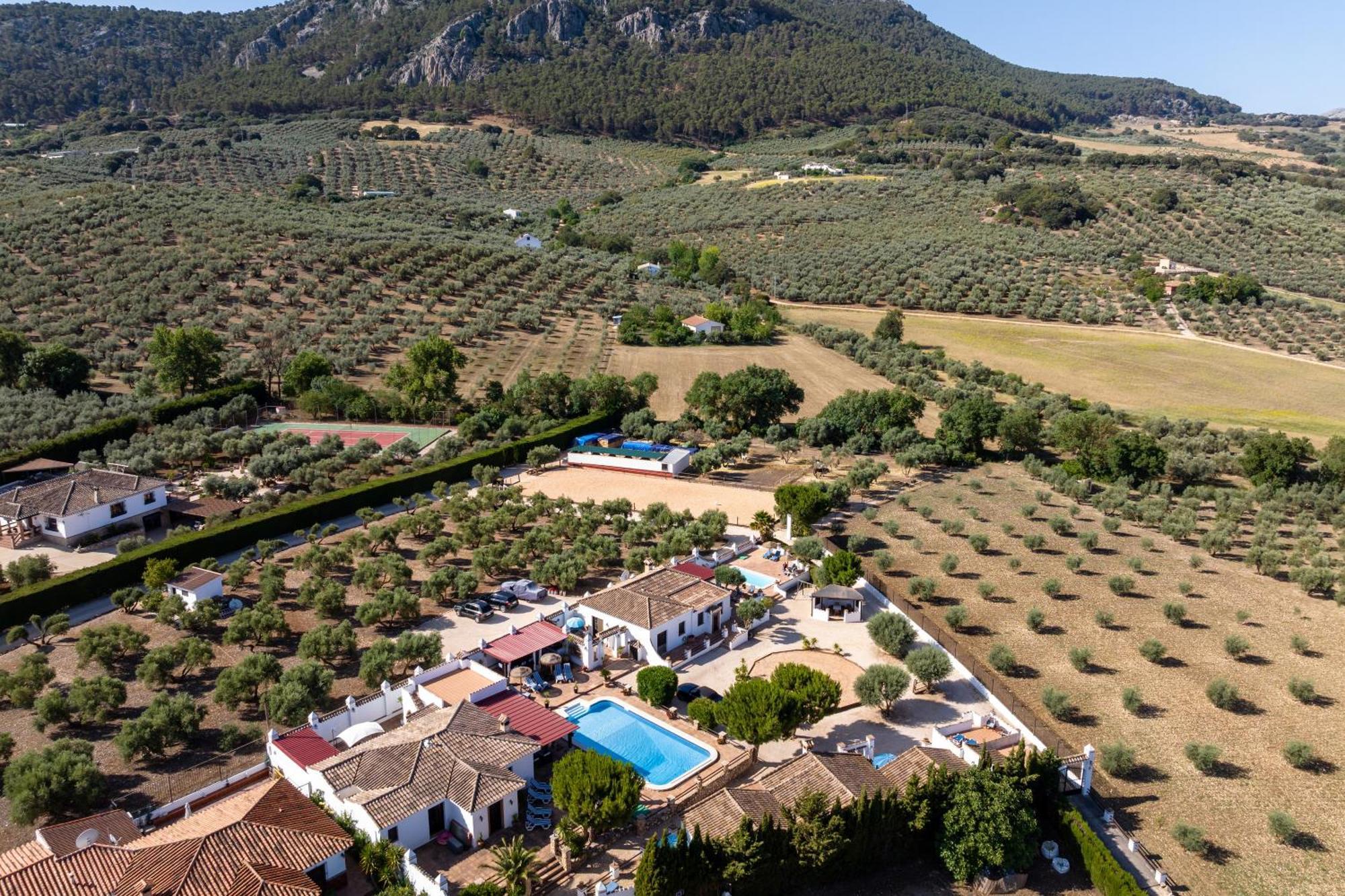 Pasa Fina, Luxury Holiday Retreat Villanueva del Trabuco Εξωτερικό φωτογραφία