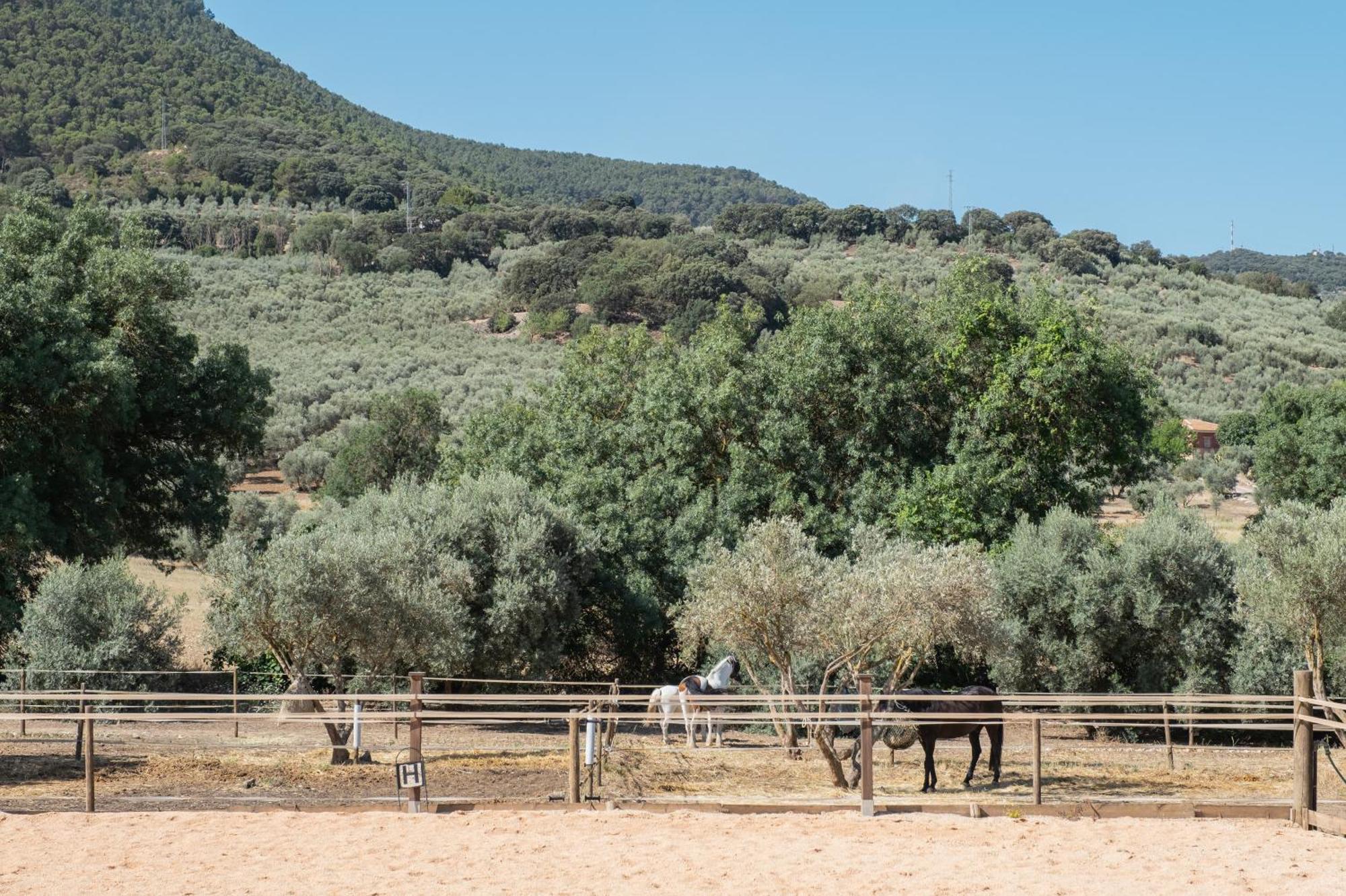 Pasa Fina, Luxury Holiday Retreat Villanueva del Trabuco Εξωτερικό φωτογραφία